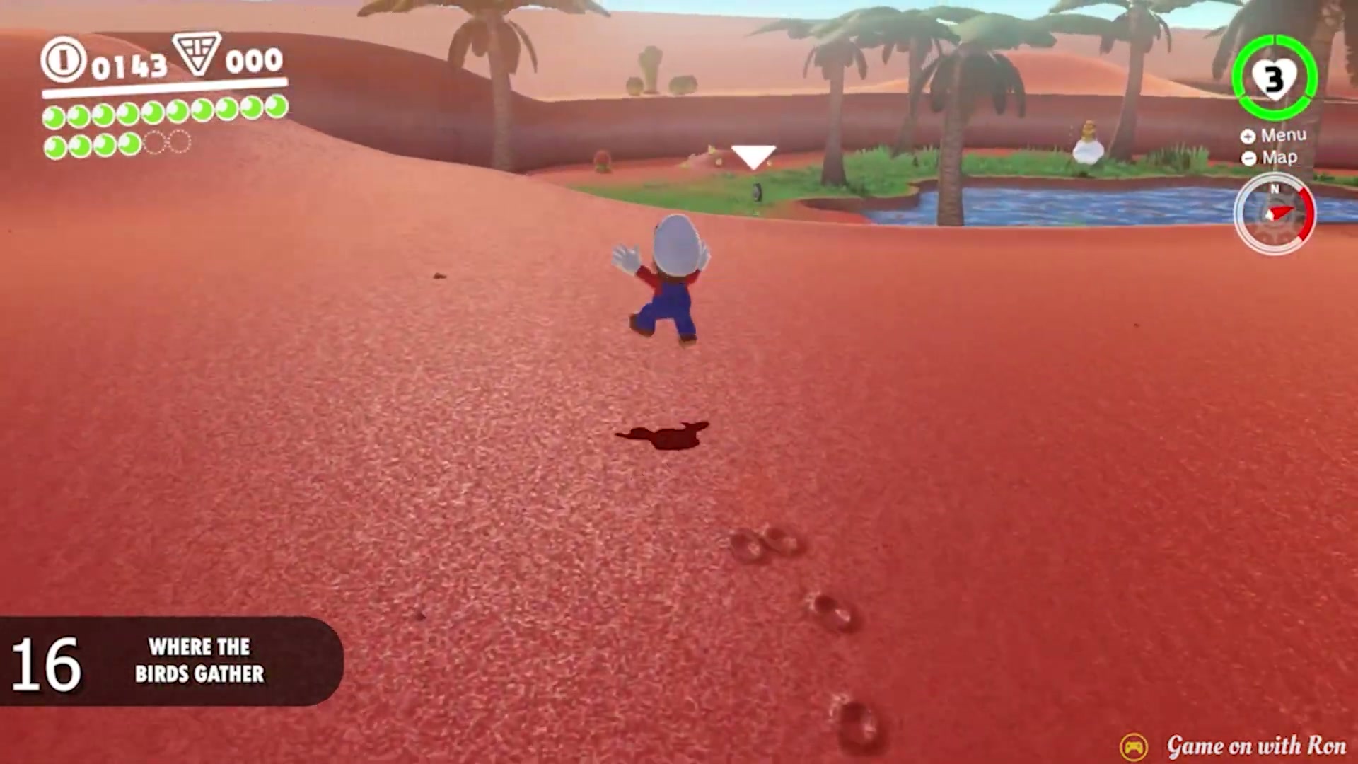 Super Mario Odyssey Sand Kingdom Power Moon 16 - Where The Birds Gather verified image 2