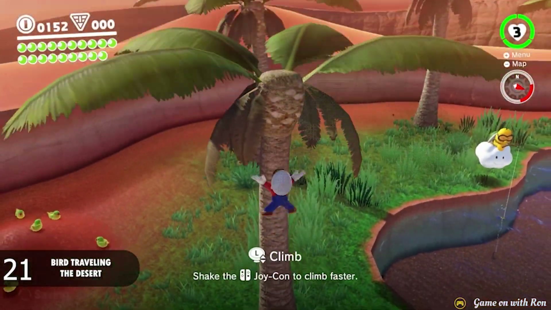 Super Mario Odyssey Sand Kingdom Power Moon 21 - Bird Traveling The Desert verified image 1