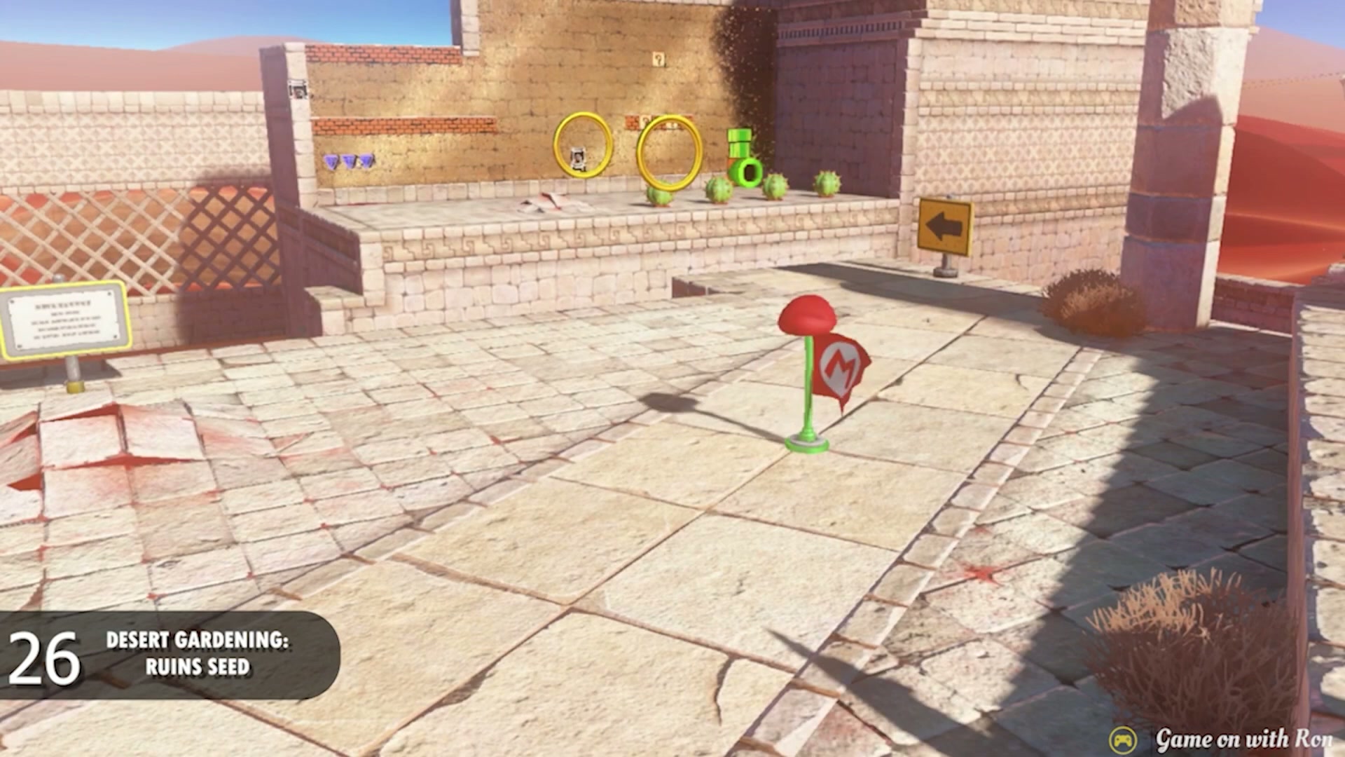 Super Mario Odyssey Sand Kingdom Power Moon 26 - Desert Gardening Ruins Seeds verified guide image 1