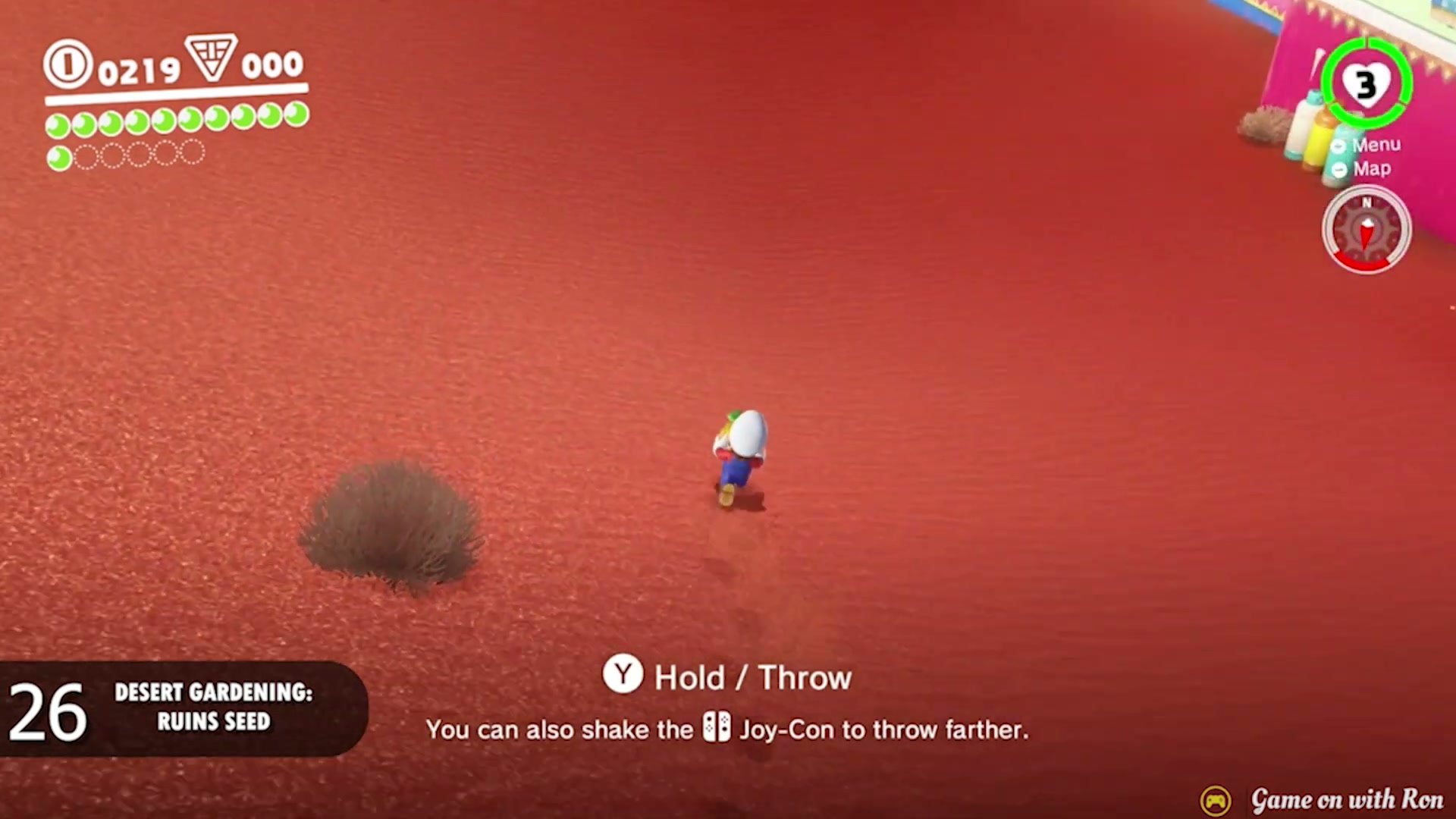 Super Mario Odyssey Sand Kingdom Power Moon 26 - Desert Gardening Ruins Seeds verified guide image 3