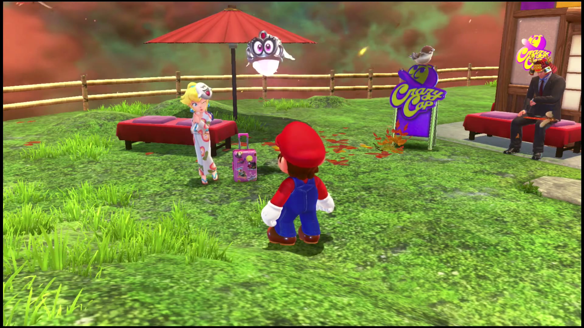 Peach in Bowser's Kingdom screenshot 2