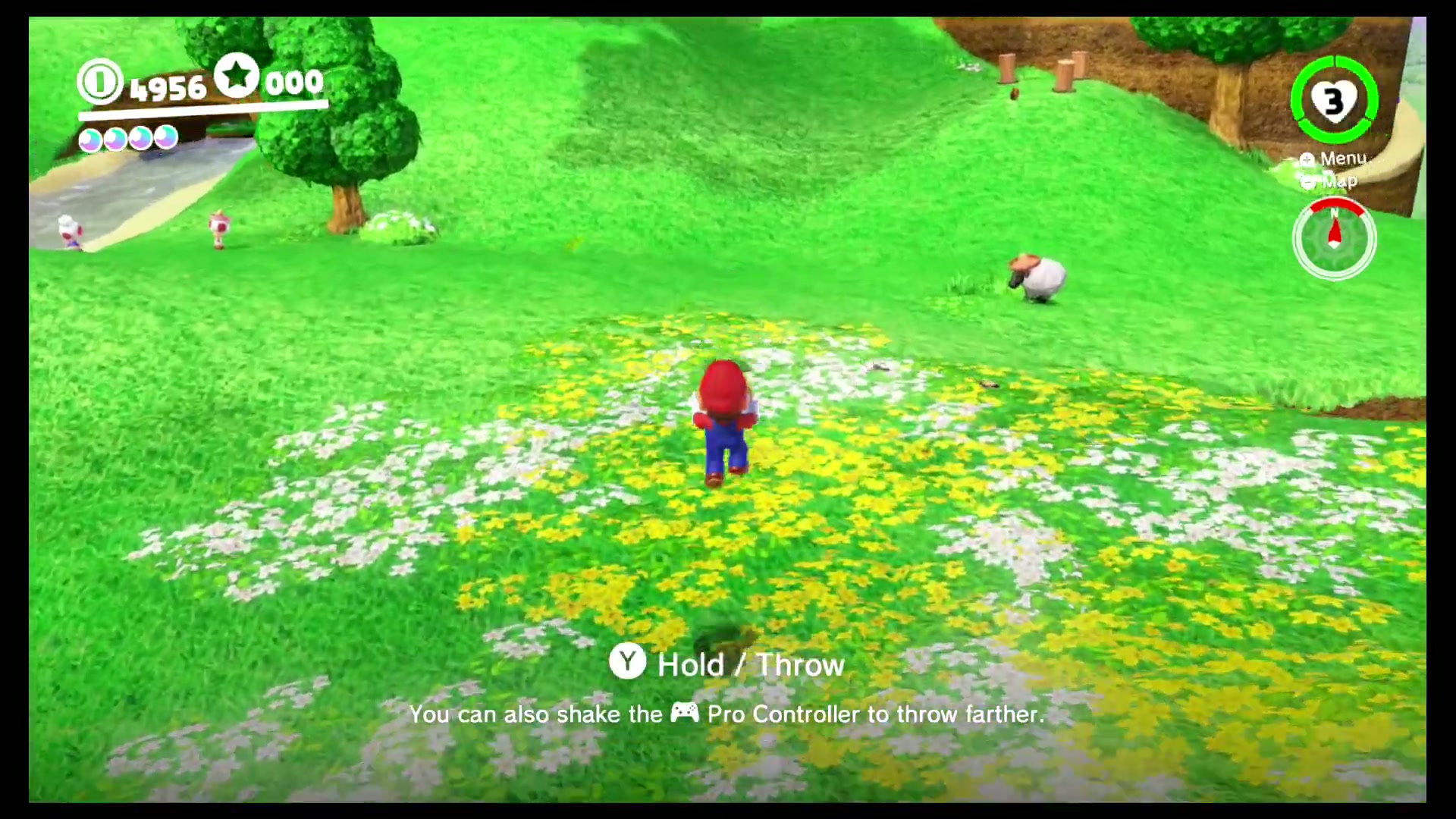 Gardening for Toad: Field Seed screenshot 1