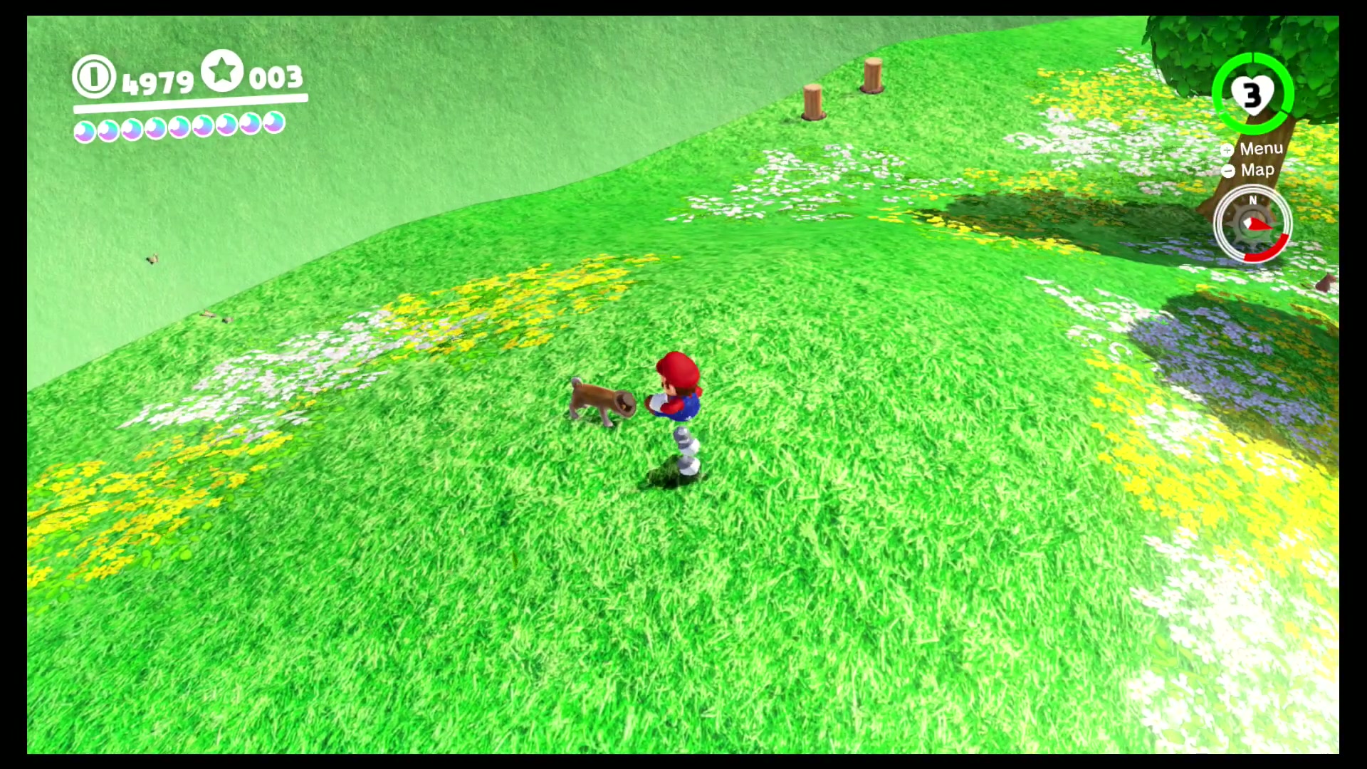 Found at Peach's Castle! Good Dog! screenshot 2