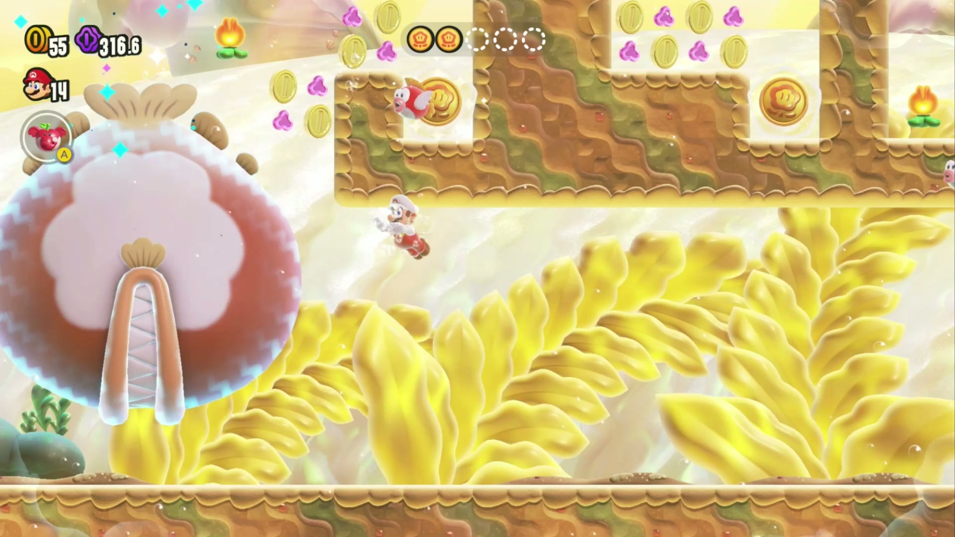 Petal Isles Wonder Seed 2 location for Leaping Smackerel in Super Mario Bros. Wonder
