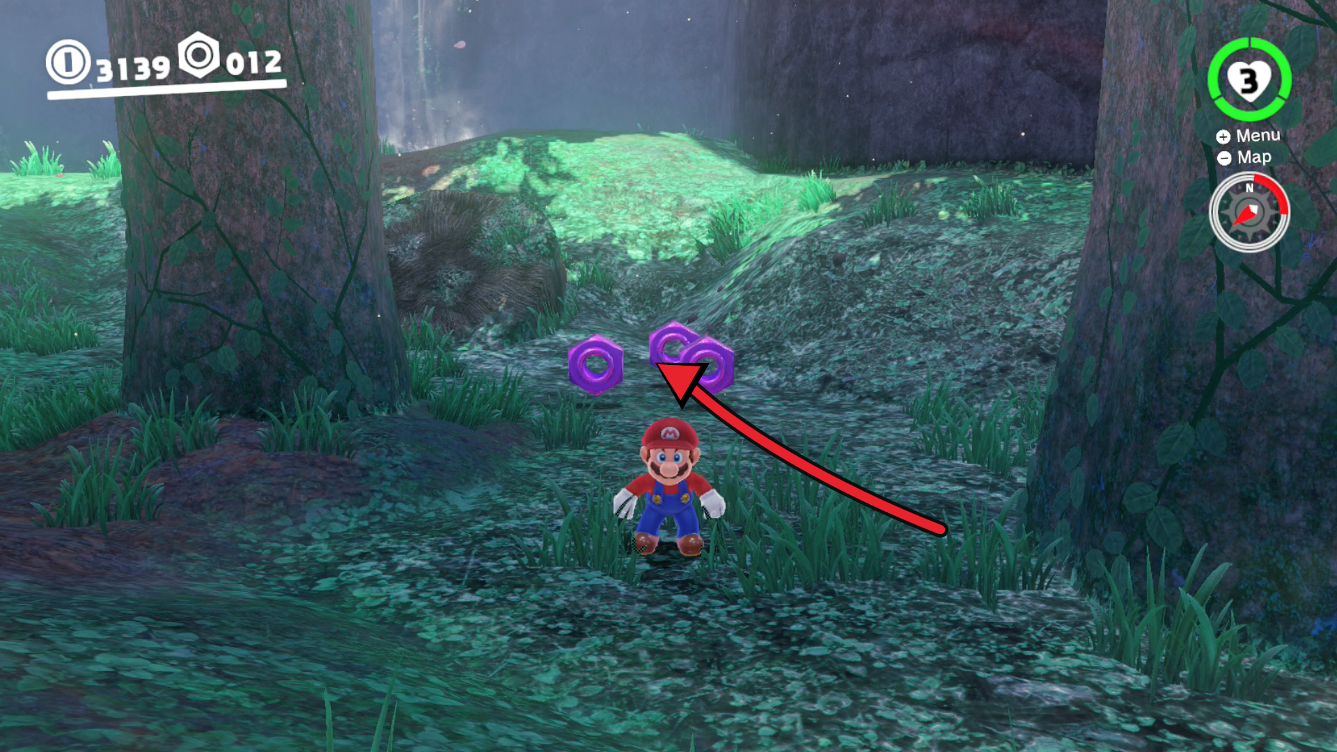 Super Mario Odyssey Wooded Kingdom purple coins 13 to 15 between the trees near the starting area