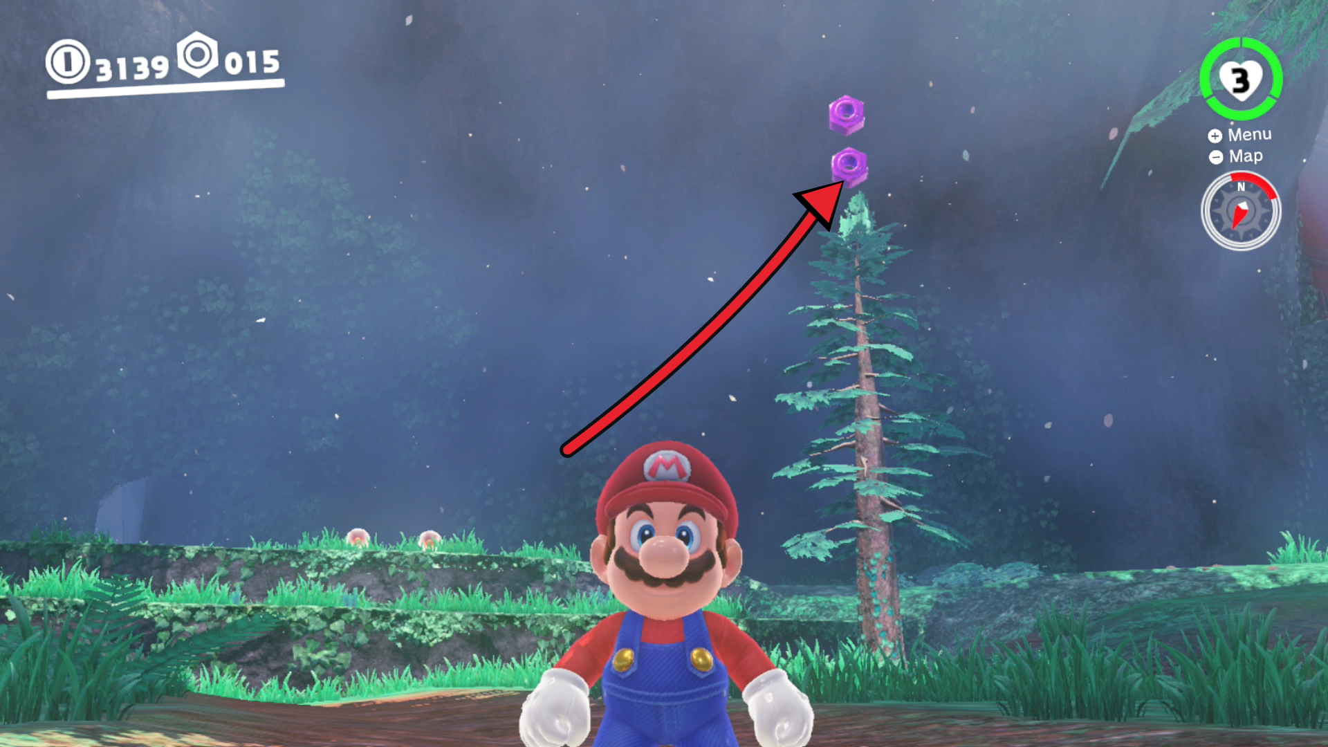 Super Mario Odyssey Wooded Kingdom purple coins 16 and 17 at the top of a tree near the Odyssey