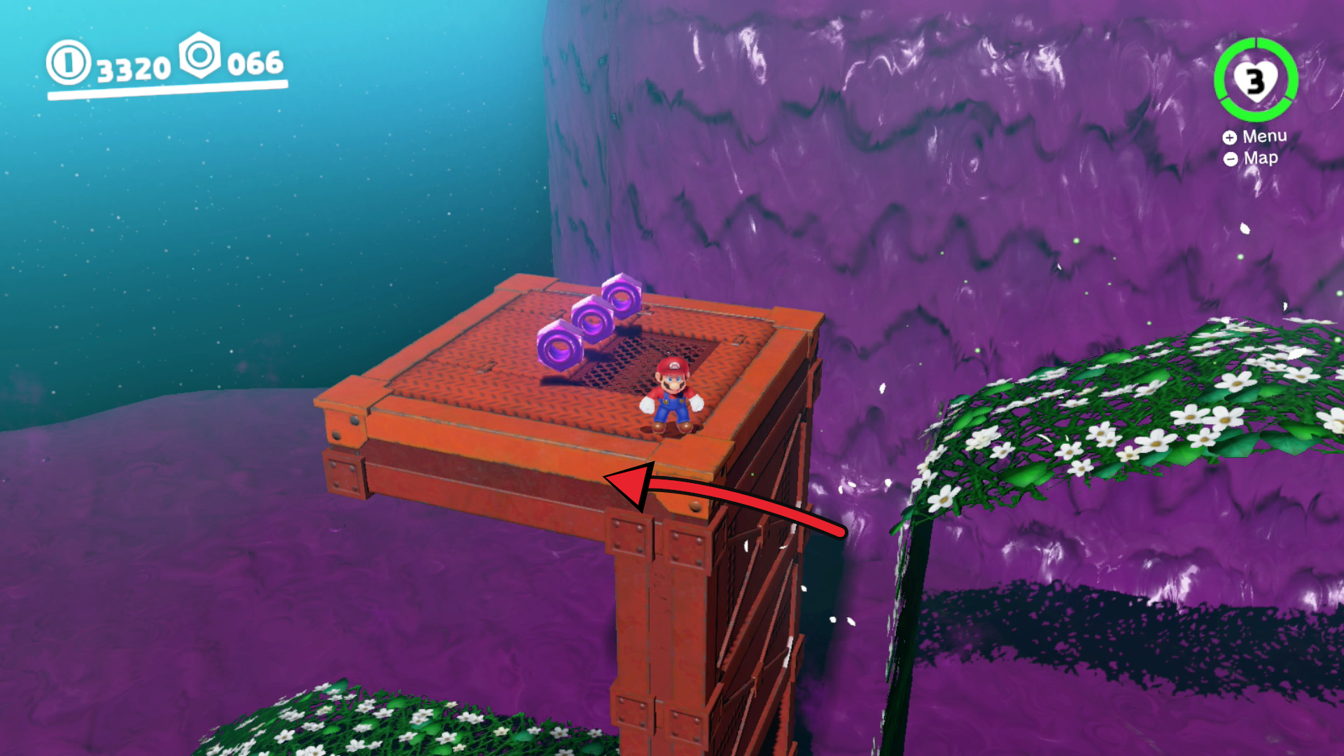 Super Mario Odyssey Wooded Kingdom purple coins 67 to 69 inside the Flower Road Run secret area