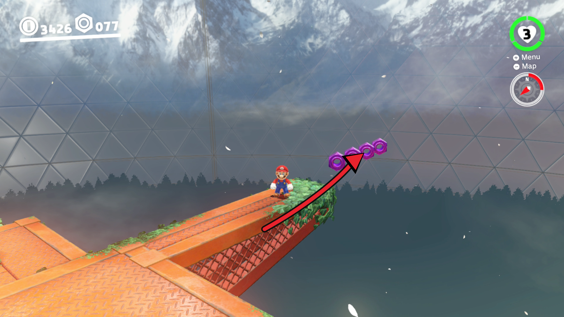 Super Mario Odyssey Wooded Kingdom purple coins 78 to 81 floating beside the Observation Deck