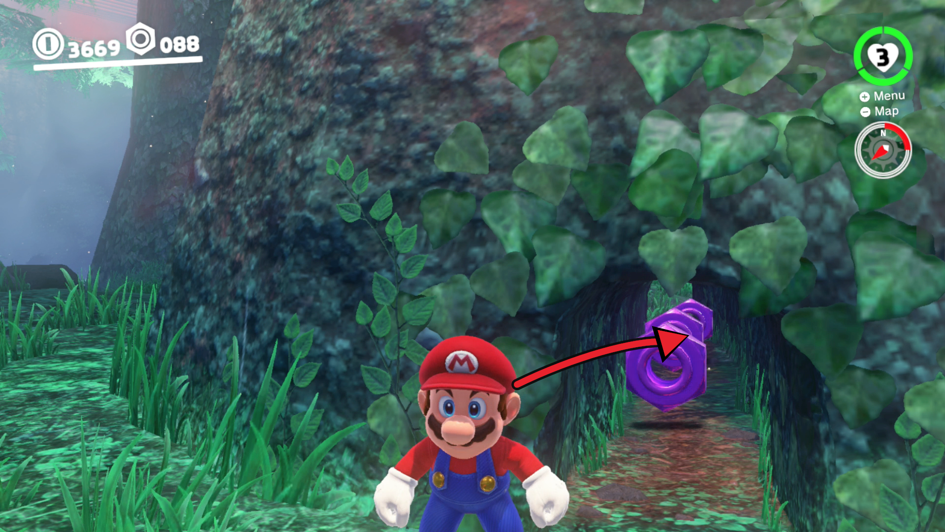 Super Mario Odyssey Wooded Kingdom purple coins 89 to 91 inside a tree near the starting area