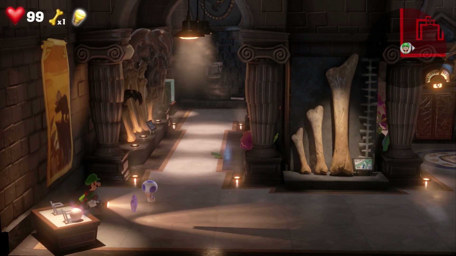 Purple Gem fossil display case in the Elevator Hall in 9F Museum in Luigi's Mansion 3